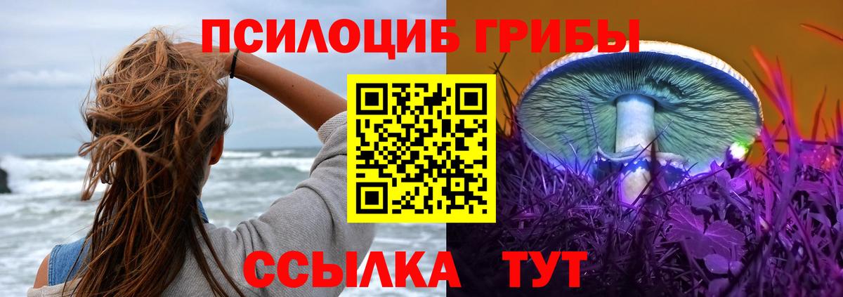 Галлюциногенные грибы мицелий Сызрань